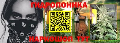 сатива Комсомольск-на-Амуре