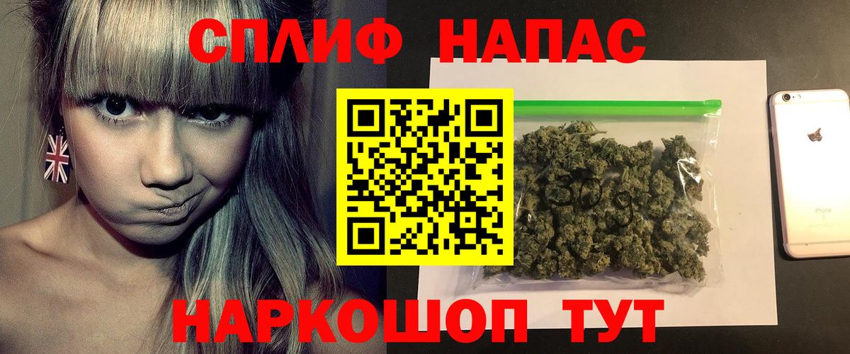 Каннабис планчик Черногорск